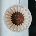 Paper Filters (100 ct)