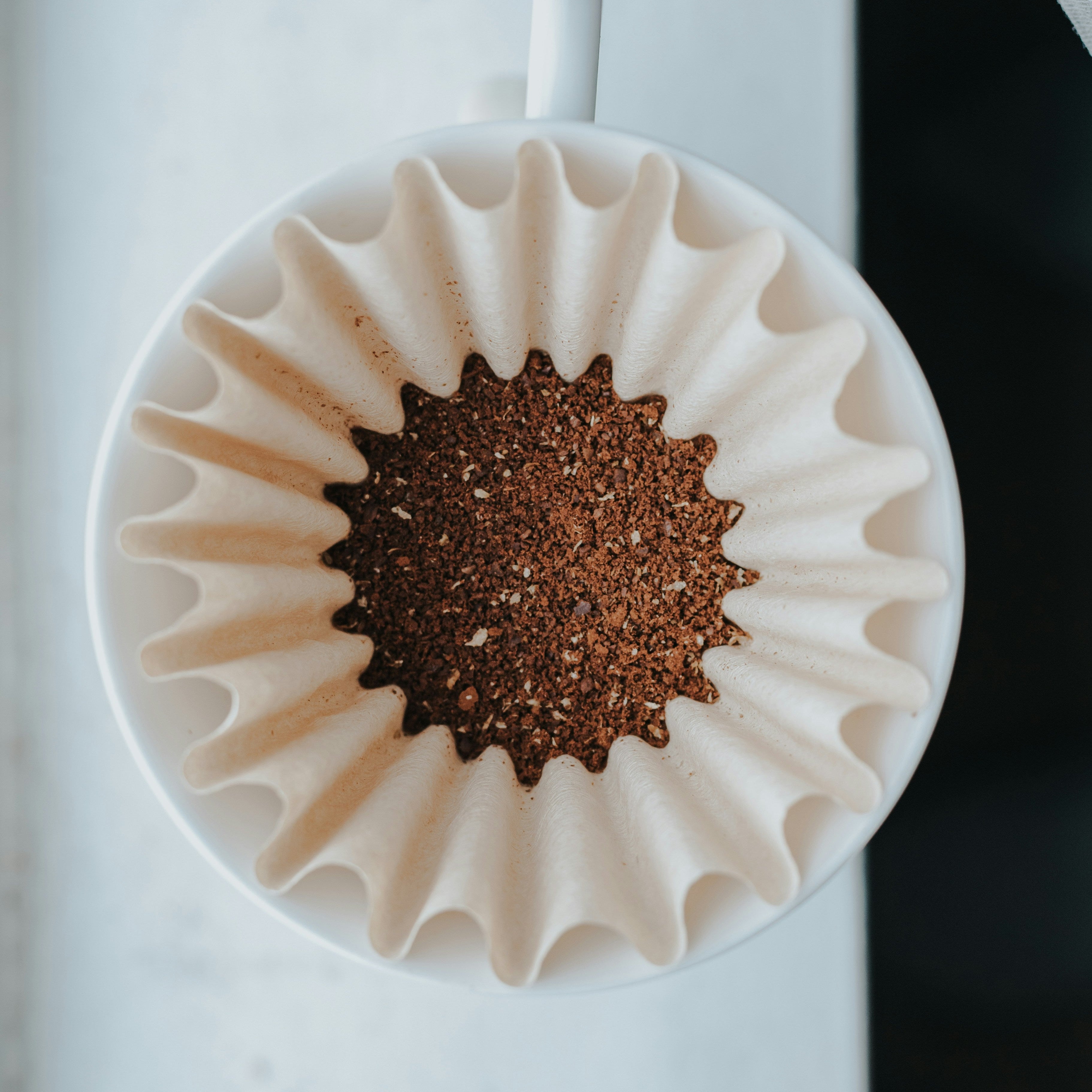 Paper Filters (100 ct)